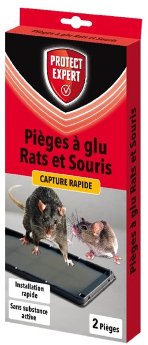 PIEGE ELECTRONIQUE RATS ET SOURIS RASOUTRAP : JARDIPRIX: Spécialiste en  Déstockage de Jardin, Piscines, Peintures